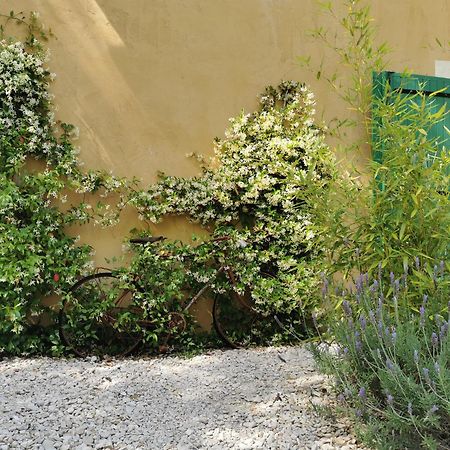 Lavand'Ange Et Spa Sarrians Esterno foto