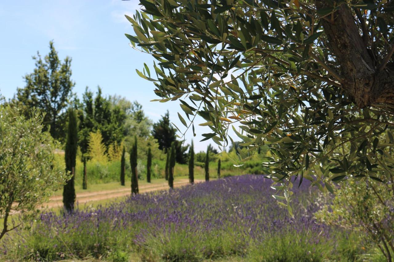 Lavand'Ange Et Spa Sarrians Esterno foto