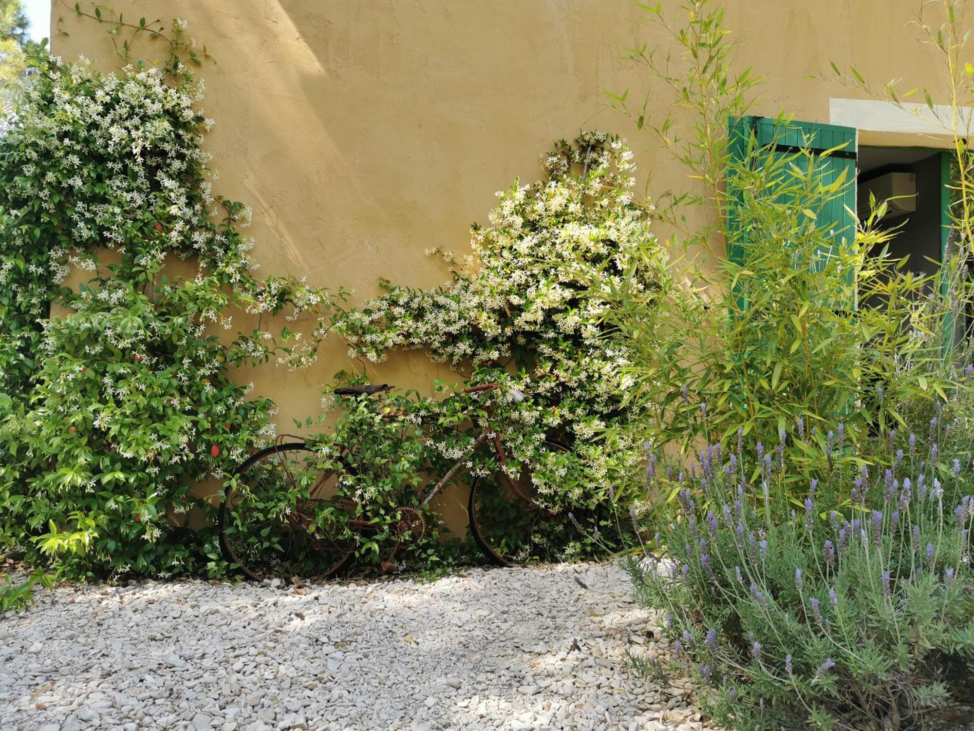 Lavand'Ange Et Spa Sarrians Esterno foto